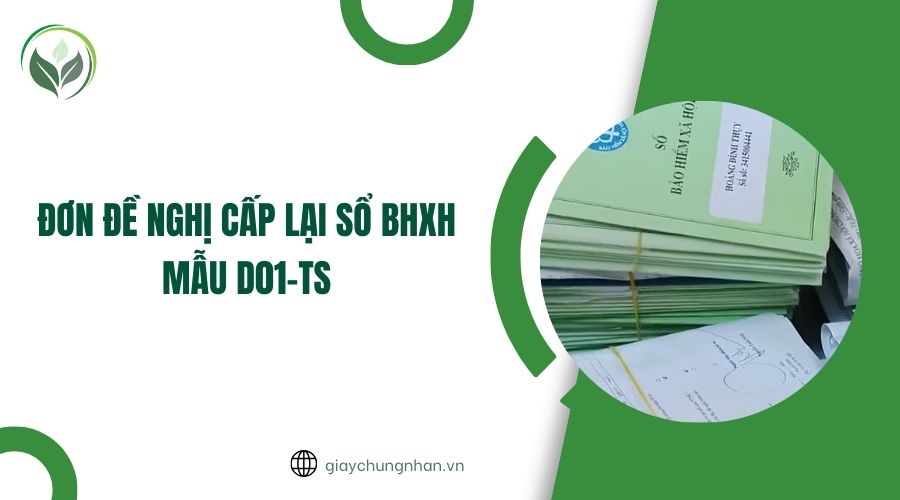 Đơn đề nghị cấp lại sổ BHXH mẫu D01-TS