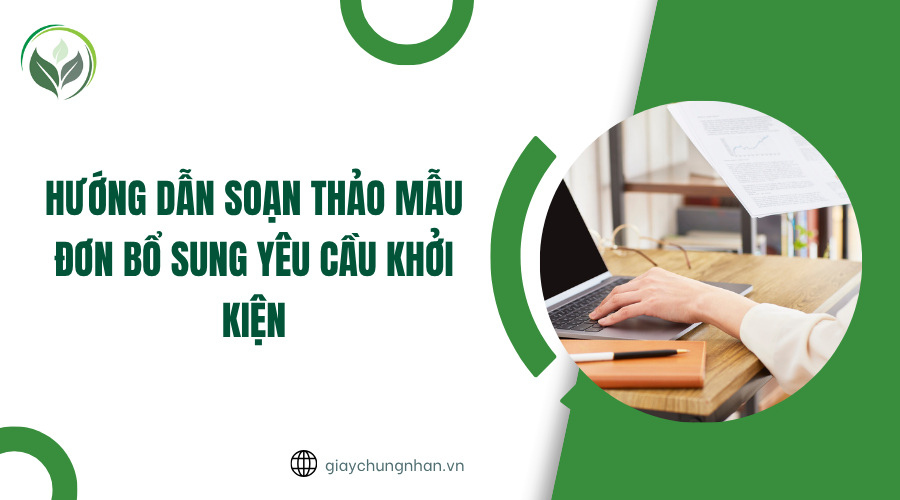 Hướng dẫn soạn thảo mẫu đơn bổ sung yêu cầu khởi kiện