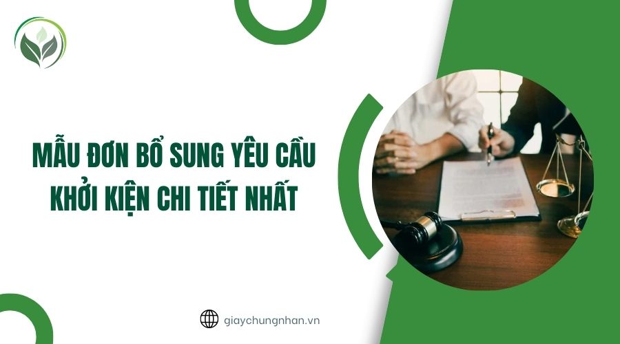 Mẫu đơn bổ sung yêu cầu khởi kiện chi tiết nhất