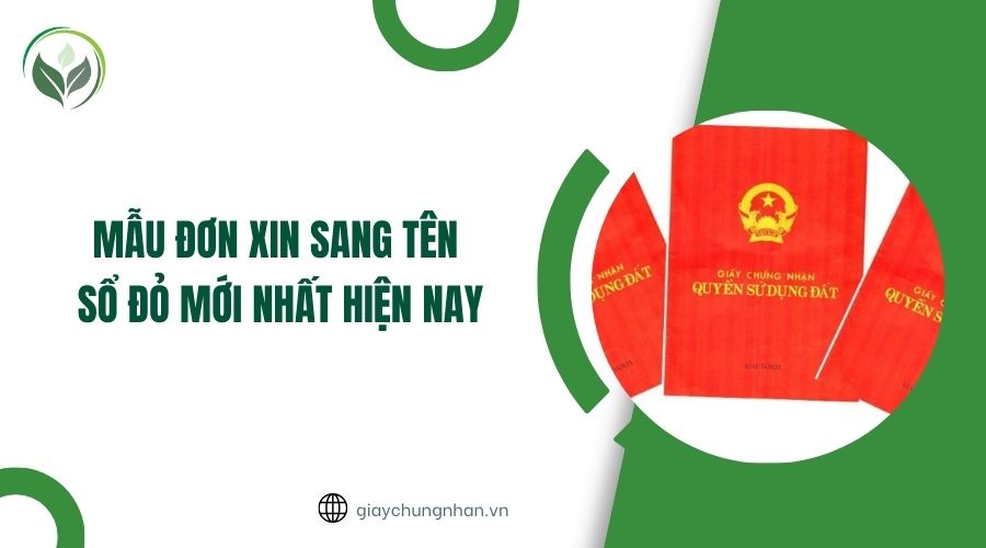 Mẫu đơn xin sang tên sổ đỏ mới nhất hiện nay