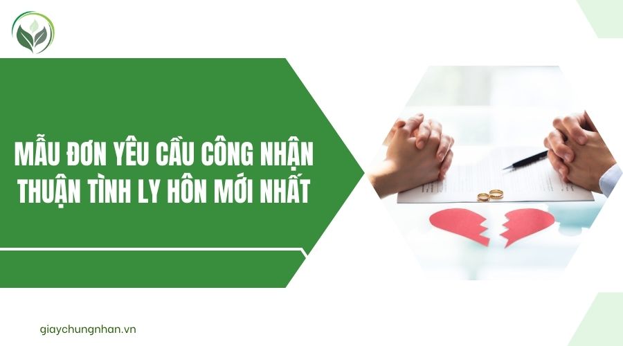 Mẫu đơn yêu cầu công nhận thuận tình ly hôn mới nhất