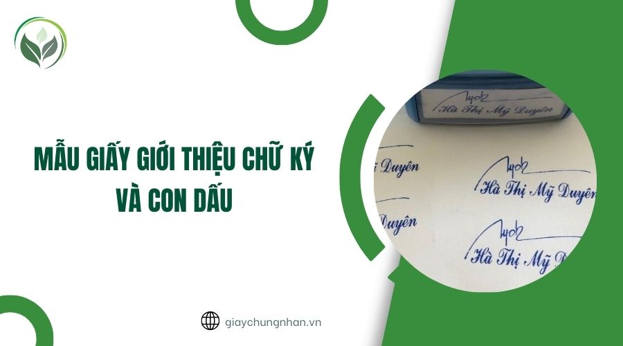 Mẫu giấy giới thiệu chữ ký và con dấu