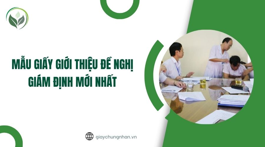 Mẫu giấy giới thiệu đề nghị giám định mới nhất