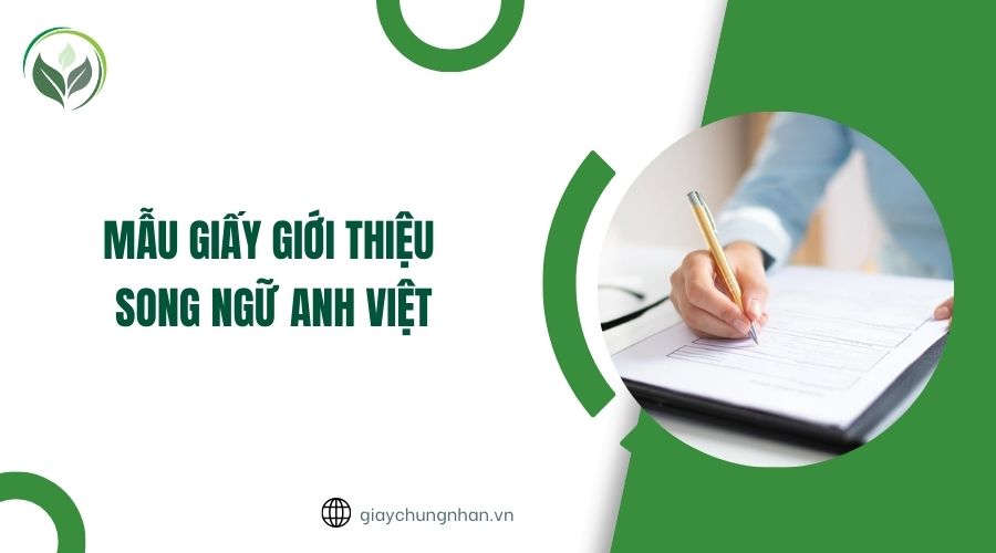 Mẫu giấy giới thiệu song ngữ Anh Việt