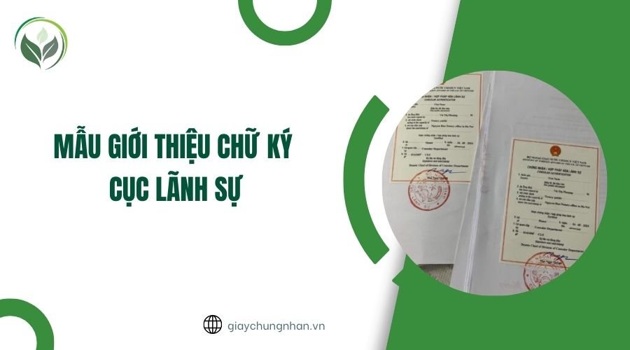 Mẫu giới thiệu chữ ký cục lãnh sự
