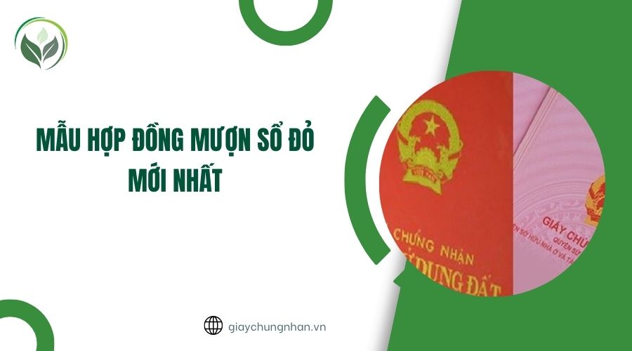 Mẫu hợp đồng mượn sổ đỏ mới nhất