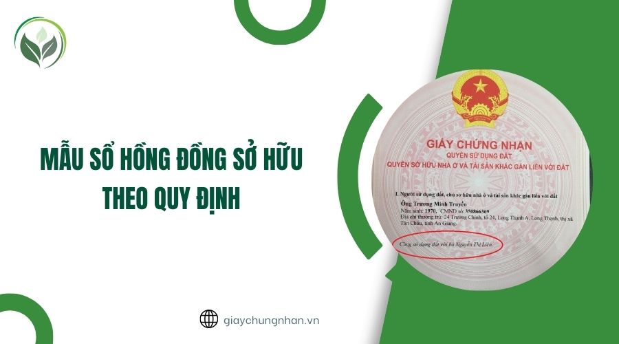 Mẫu sổ hồng đồng sở hữu theo quy định