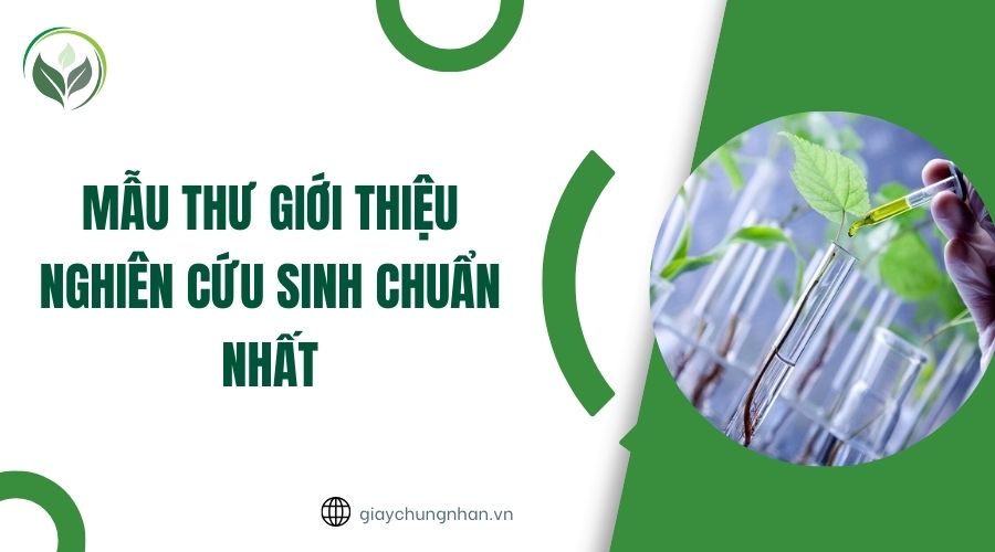 Mẫu thư giới thiệu nghiên cứu sinh chuẩn nhất