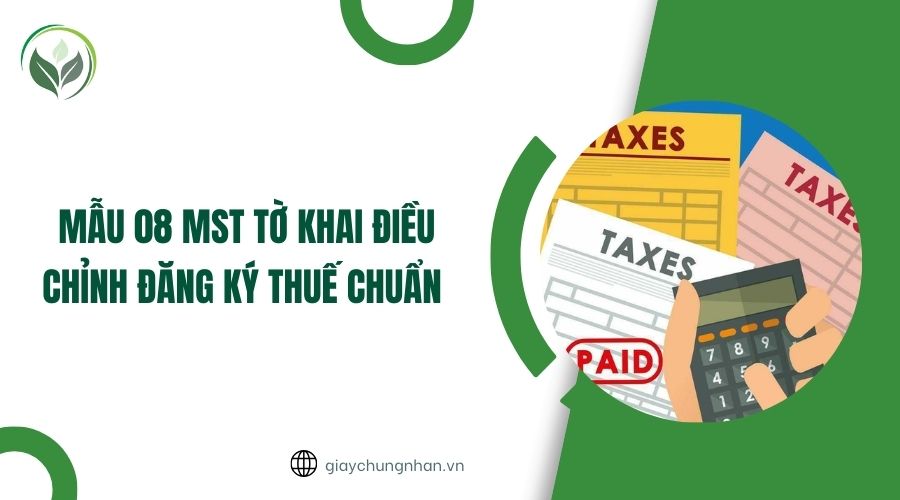 Mẫu 08 MST tờ khai điều chỉnh đăng ký thuế chuẩn 