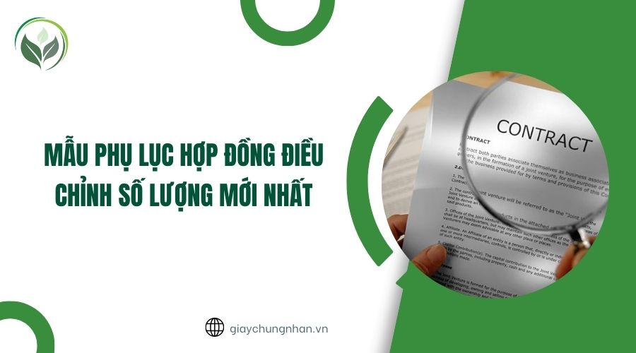 Mẫu phụ lục hợp đồng điều chỉnh số lượng mới nhất