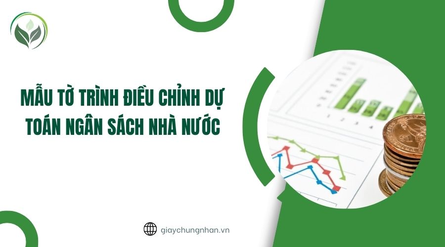 Mẫu tờ trình điều chỉnh dự toán ngân sách nhà nước
