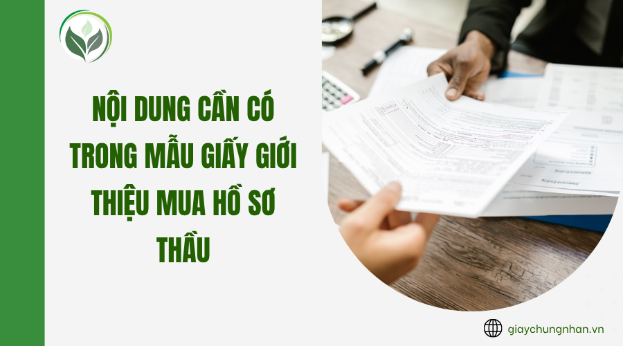 Nội dung cần có trong mẫu giấy giới thiệu mua hồ sơ thầu