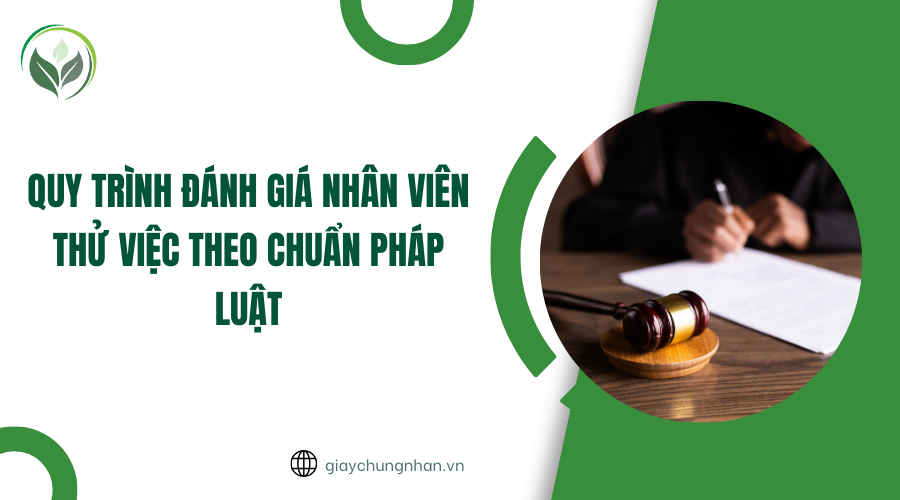 Quy trình đánh giá nhân viên thử việc theo chuẩn pháp luật