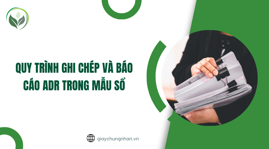 Quy trình ghi chép và báo cáo ADR trong mẫu sổ