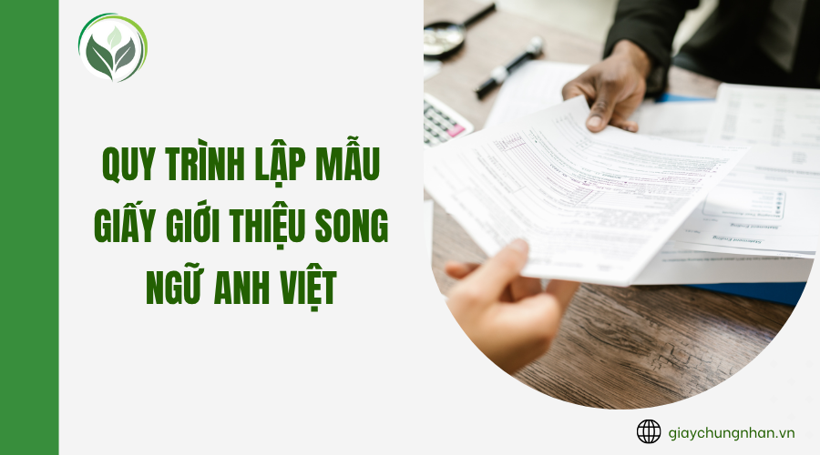 Quy trình lập mẫu giấy giới thiệu song ngữ Anh Việt