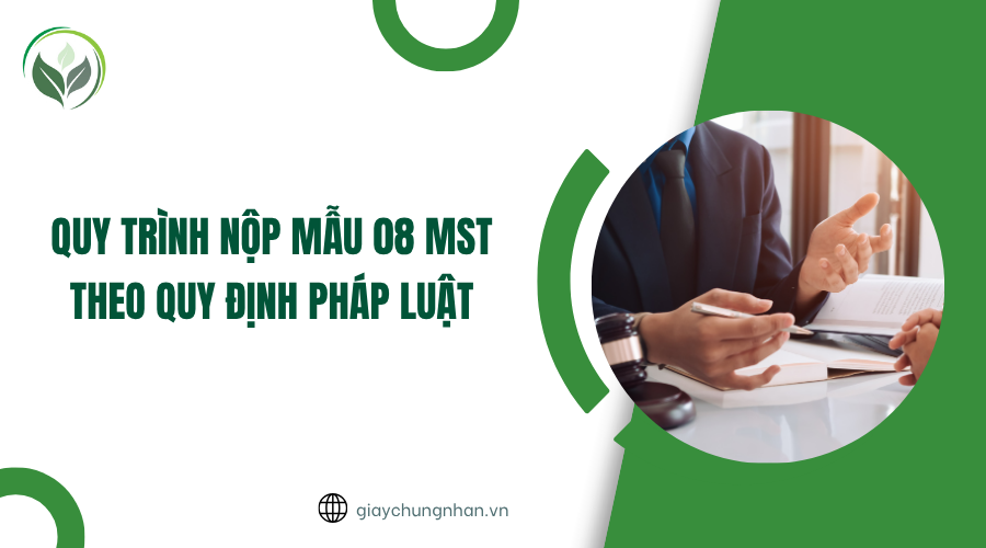Quy trình nộp mẫu 08 mst theo quy định pháp luật