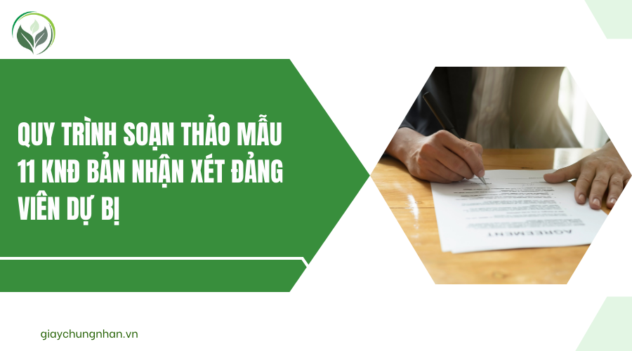 Quy trình soạn thảo mẫu 11 KNĐ bản nhận xét đảng viên dự bị