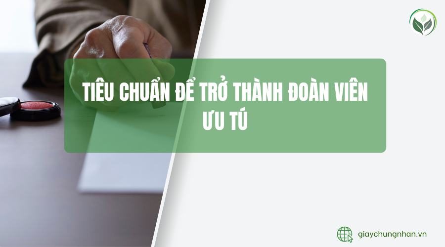 Tiêu chuẩn để trở thành đoàn viên ưu tú