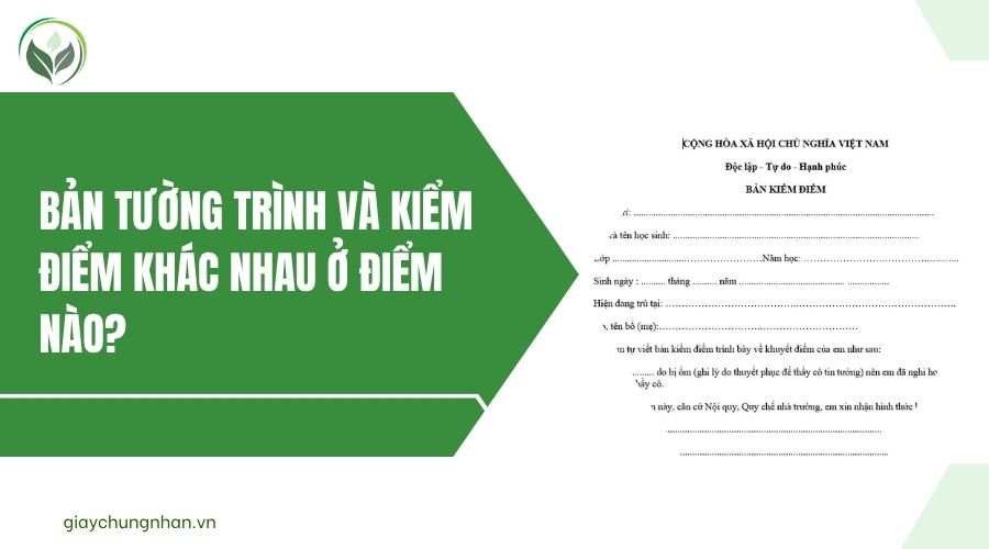 Bản tường trình và kiểm điểm khác nhau ở điểm nào?