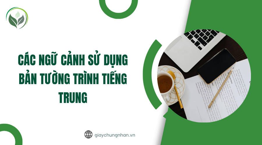 Các ngữ cảnh sử dụng bản tường trình tiếng Trung