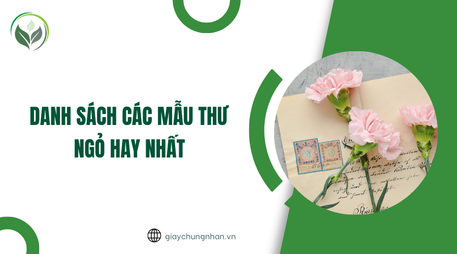 Danh sách các mẫu thư ngỏ hay nhất