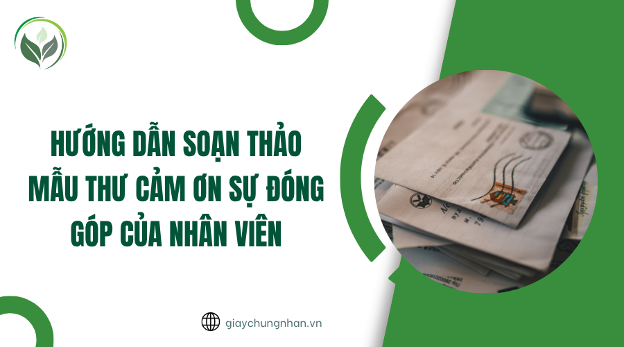 Hướng dẫn soạn thảo mẫu thư cảm ơn sự đóng góp của nhân viên