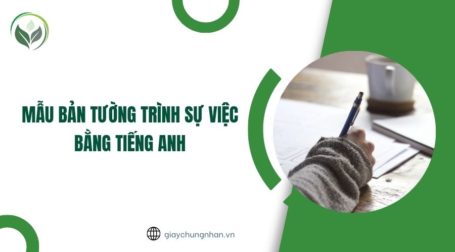 Mẫu bản tường trình sự việc bằng tiếng Anh