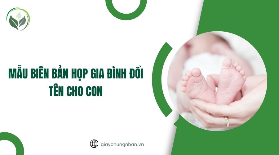 Mẫu biên bản họp gia đình đổi tên cho con