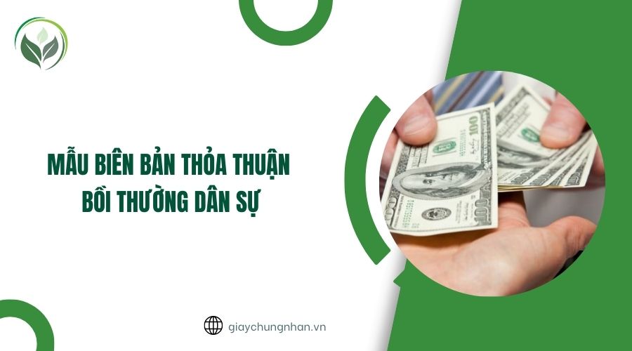 Mẫu biên bản thoả thuận bồi thường dân sự