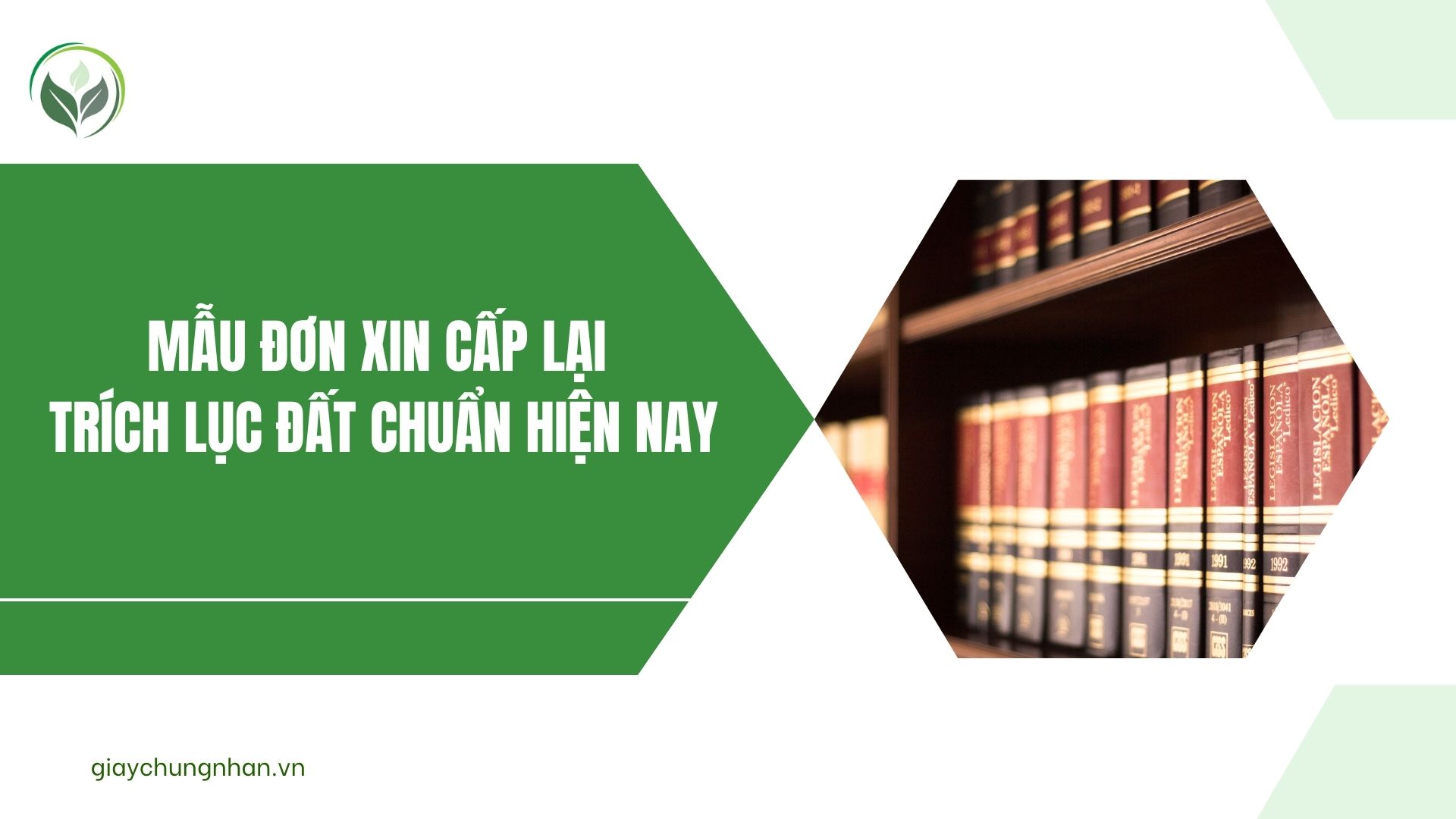 Mẫu đơn xin cấp lại trích lục đất chuẩn hiện nay