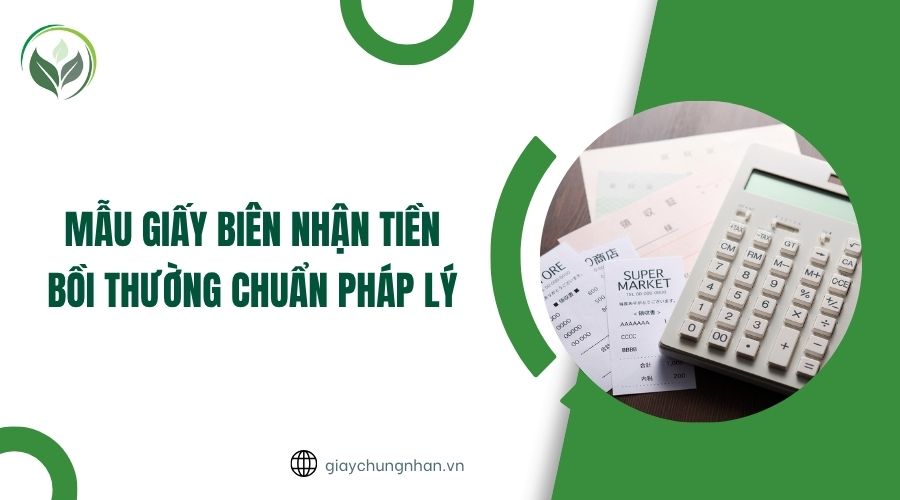 Mẫu giấy biên nhận tiền bồi thường chuẩn pháp lý