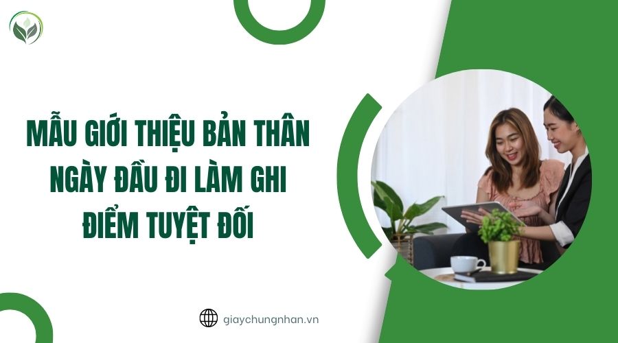 Mẫu giới thiệu bản thân ngày đầu đi làm ghi điểm tuyệt đối