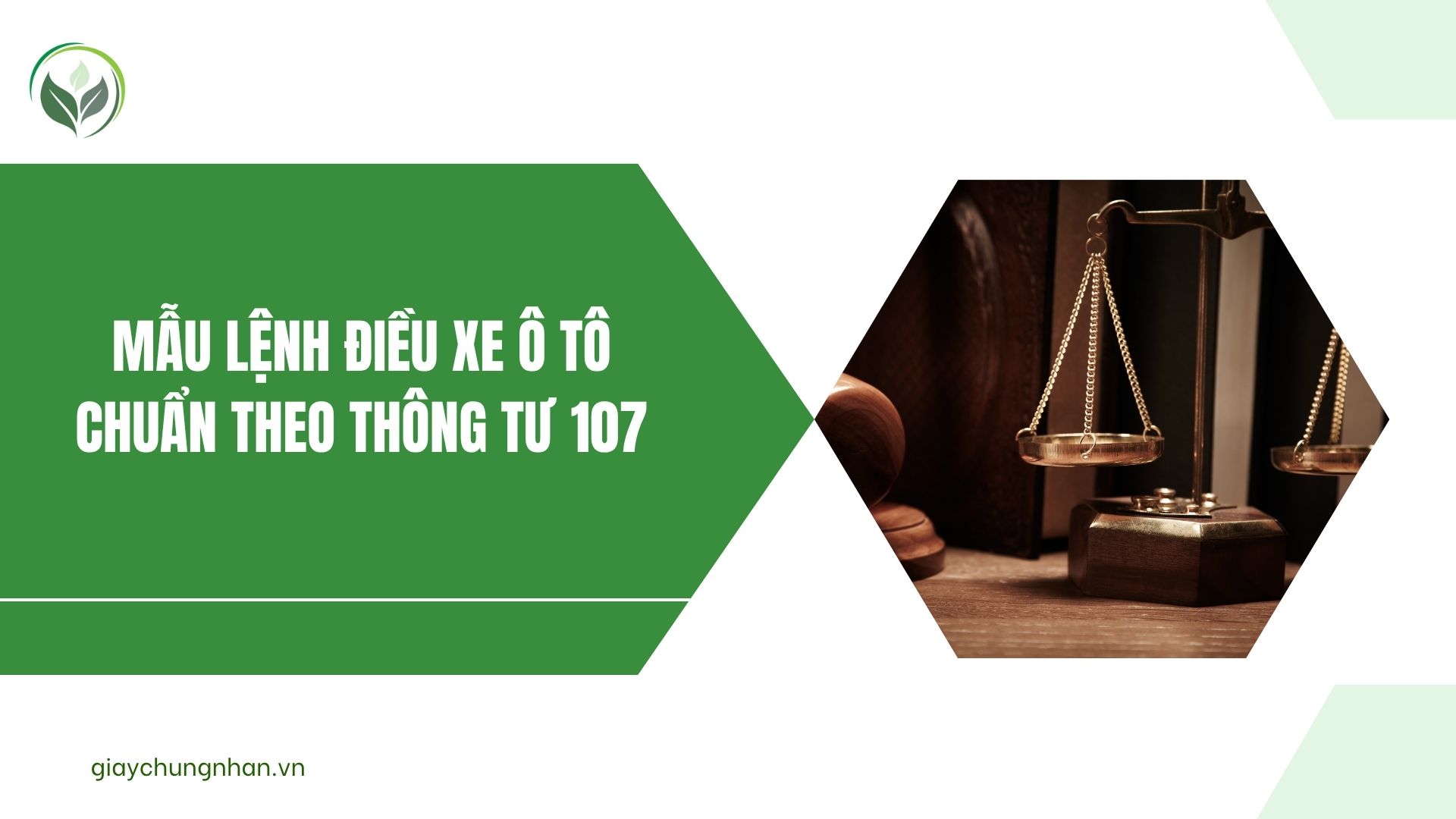 Mẫu lệnh điều xe ô tô chuẩn theo Thông tư 107