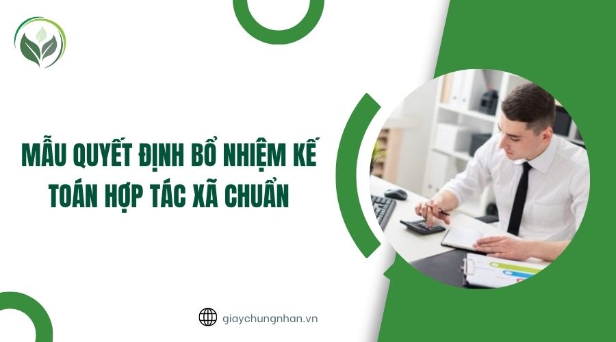 Mẫu quyết định bổ nhiệm kế toán hợp tác xã chuẩn