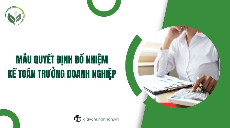 Mẫu quyết định bổ nhiệm kế toán trưởng doanh nghiệp
