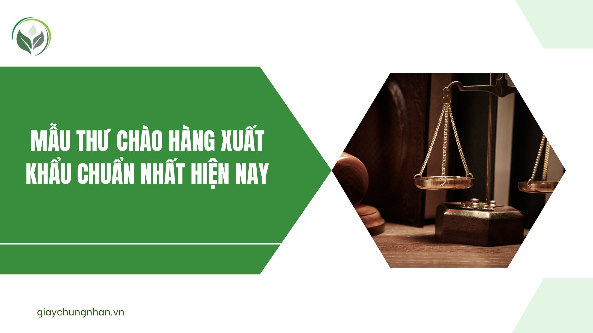 Mẫu thư chào hàng xuất khẩu chuẩn nhất hiện nay