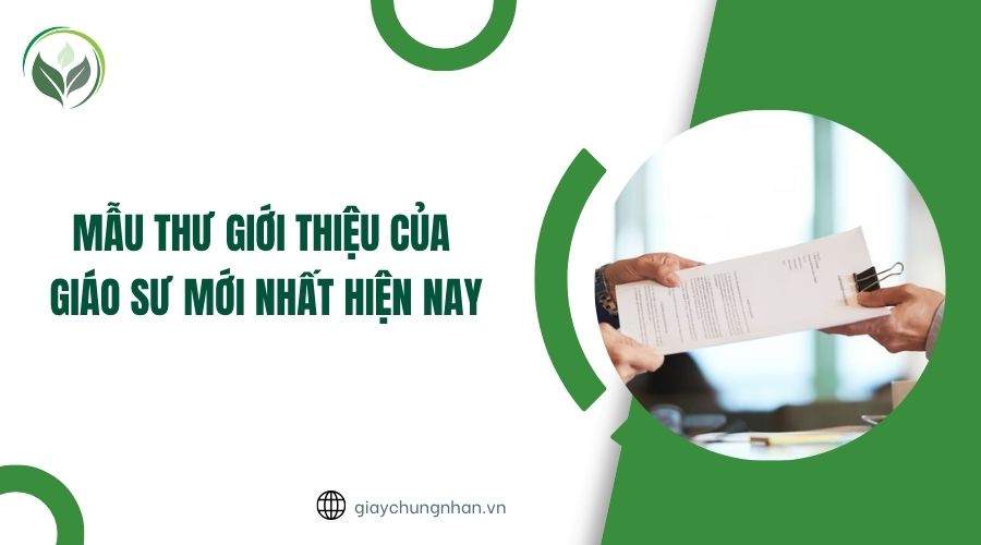 Mẫu thư giới thiệu của giáo sư mới nhất hiện nay