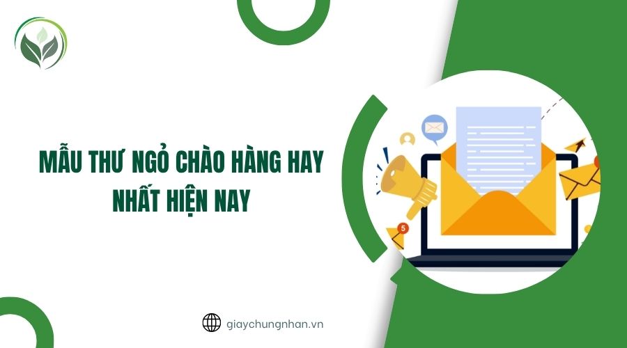 Mẫu thư ngỏ chào hàng hay nhất hiện nay