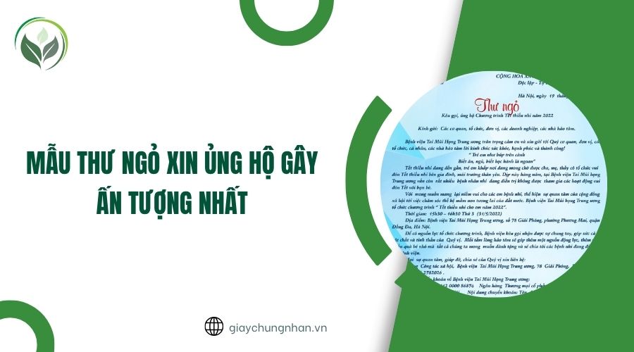 Mẫu thư ngỏ xin ủng hộ gây ấn tượng nhất