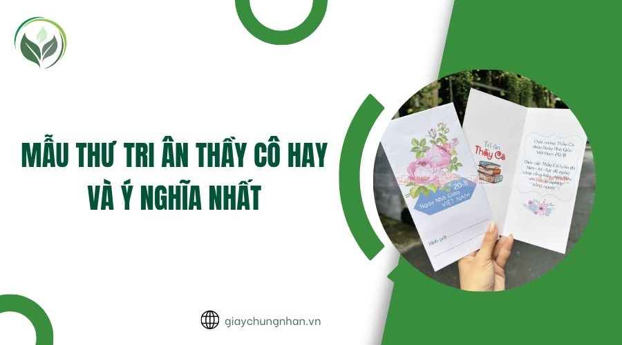 Mẫu thư tri ân thầy cô hay và ý nghĩa nhất
