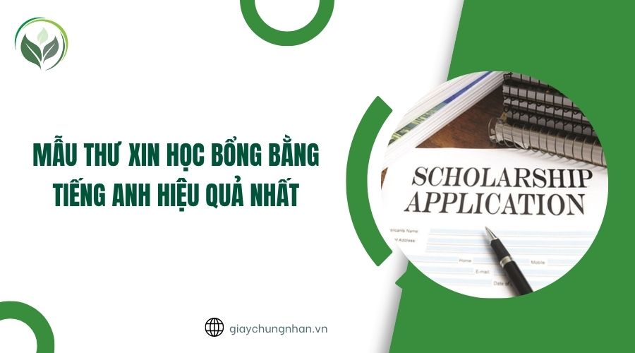 Mẫu thư xin học bổng bằng tiếng Anh hiệu quả nhất