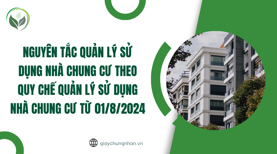 Nguyên tắc quản lý sử dụng nhà chung cư theo Quy chế quản lý sử dụng nhà chung cư từ 01/8/2024