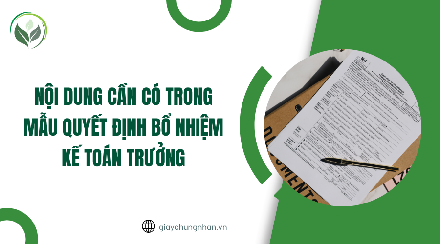 Nội dung cần có trong mẫu quyết định bổ nhiệm kế toán trưởng