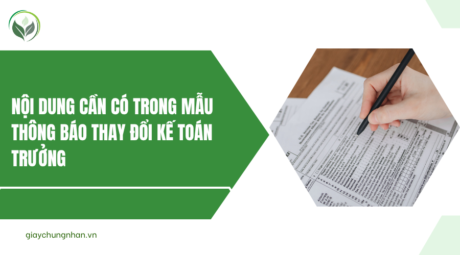Nội dung cần có trong mẫu thông báo thay đổi kế toán trưởng