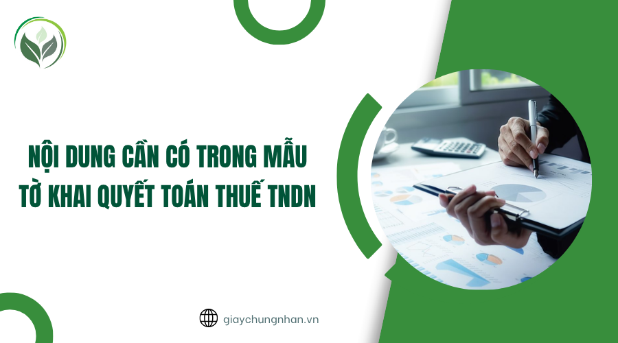 Nội dung cần có trong mẫu tờ khai quyết toán thuế TNDN