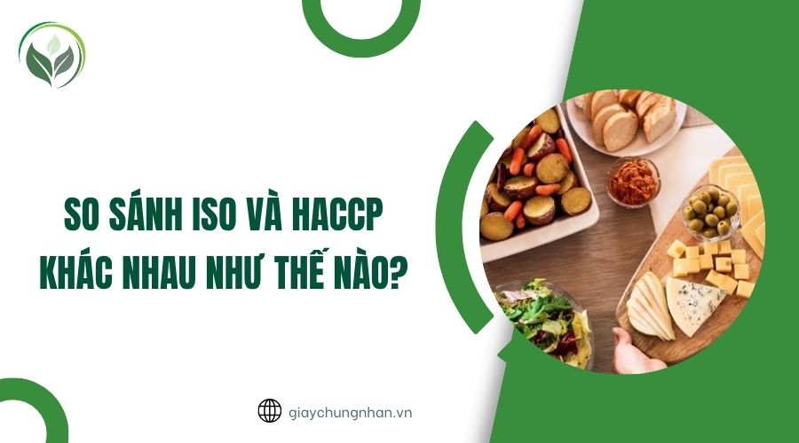 So sánh ISO và HACCP khác nhau như thế nào?