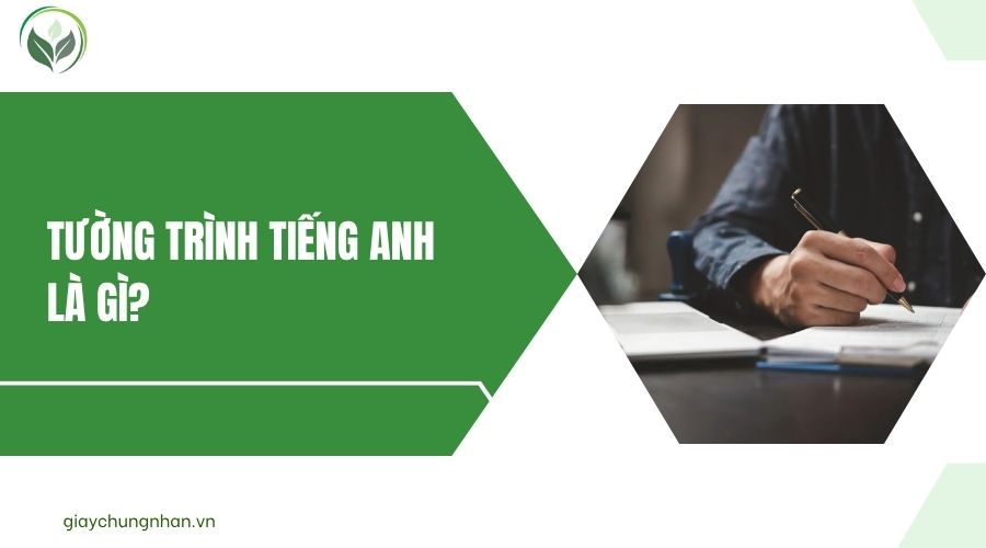 Tường trình tiếng Anh là gì?