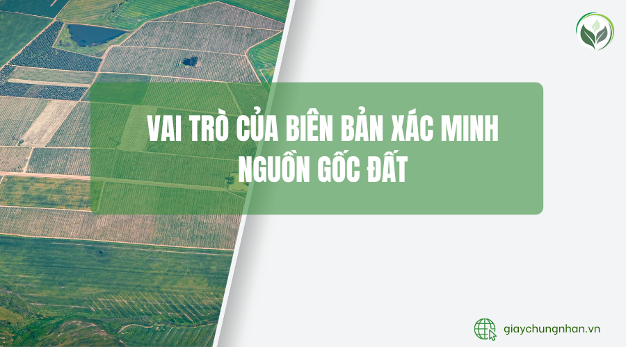 Vai trò của biên bản xác minh nguồn gốc đất
