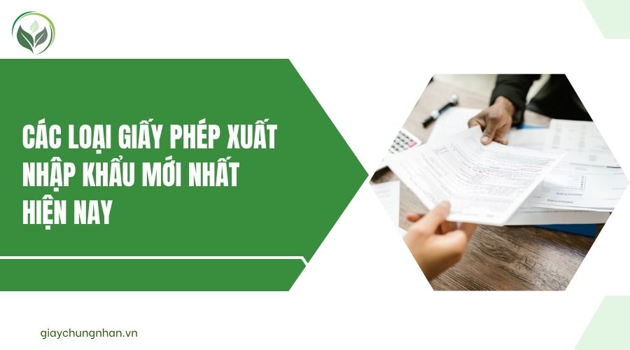 Các loại giấy phép xuất nhập khẩu mới nhất hiện nay