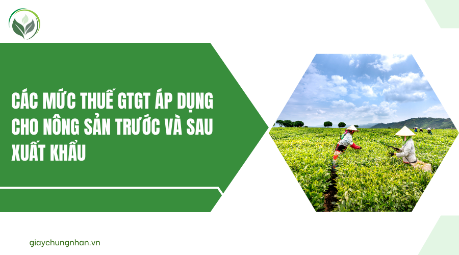 Các mức thuế GTGT áp dụng cho nông sản trước và sau xuất khẩu